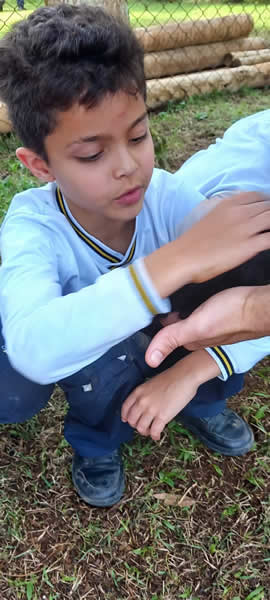 Bicho Mania 2022